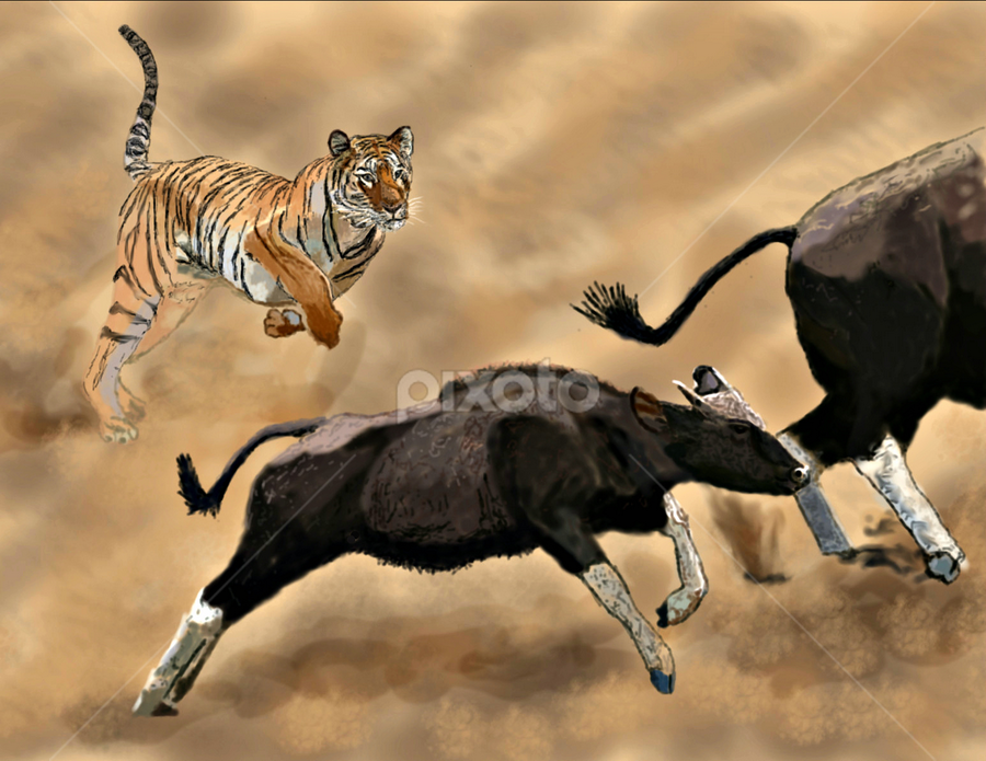 Tiger Attack | Animals | Illustration | Pixoto