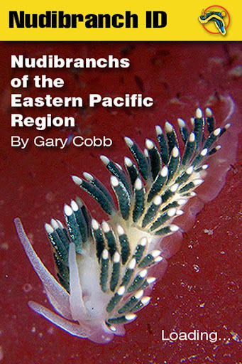 Nudibranch ID Eastern Pacific