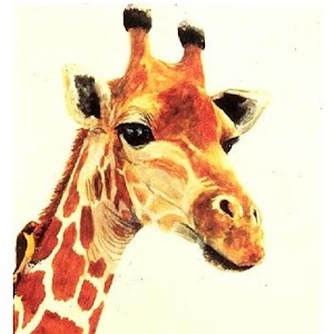 Chobe Sightings 2.0.1