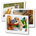 Pet Wallpaper Browser logo