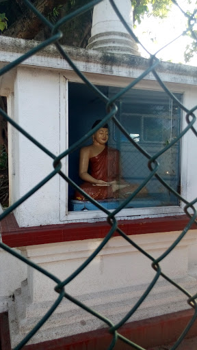 Borella PD Buddha Statue And Bodhi