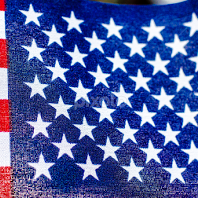 Freedom by Angelo Perrino - Public Holidays July 4th
