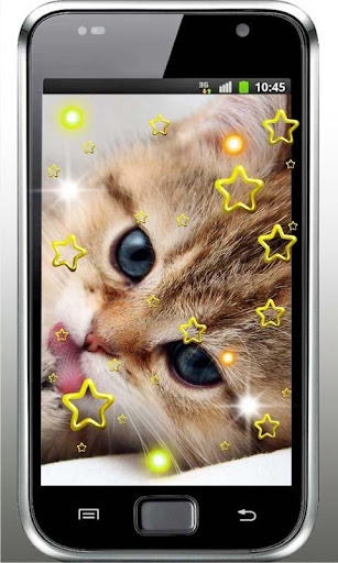 Hello Cute Kitty livewallpaper