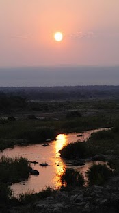 Wildlife Photo Safaris Screenshots 7