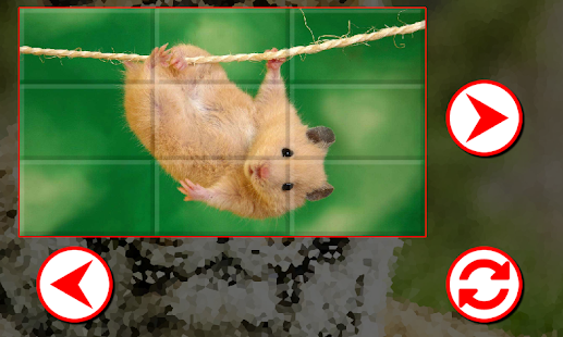 How to mod Animals Puzzles lastet apk for bluestacks