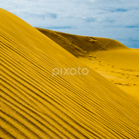 by Ani Das - Landscapes Deserts