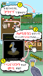 Birds do not move the rumor, appeared in the training game!  Habatake!  Shoebill's poster 4