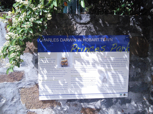 Charles Darwin in Hobart Town  