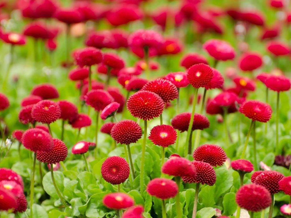 5HrFdujwyO_huXd22dCqcHUQ18EX7i-8geRVQwKBMY5WXaivRcjzBg-oWeikH4bamnqp=h900