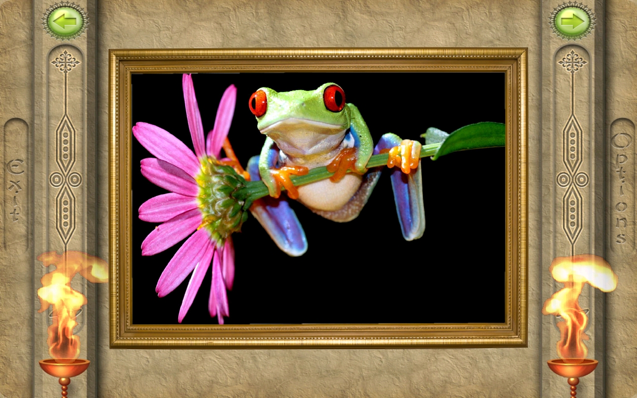 FlipPix Jigsaw Living Color (Android) reviews at Android Quality Index