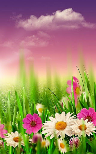 免費下載個人化APP|spring wallpaper app開箱文|APP開箱王