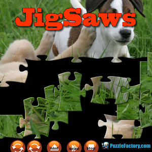Puppy JigSaw Puzzle