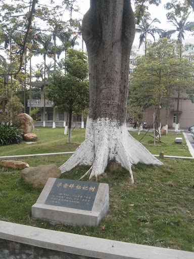 廣東石油化工學院學雷鋒標記樹