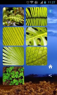 How to get Green Leaves Theme 1.0.1 apk for bluestacks