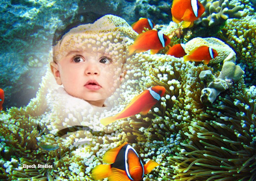 【免費攝影App】Aquarium Photo Frames-APP點子