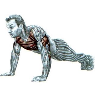 How to download Push-ups Trainer 4.1 mod apk for pc
