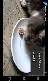 Continuous Playback YouTube poster 11