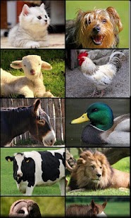 How to install Animal Sounds lastet apk for android