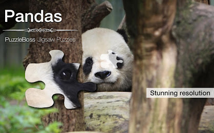 Jigsaw Puzzles: Pandas poster 1
