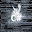 C#  Questions Download on Windows