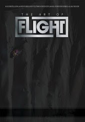 Art of Flight
