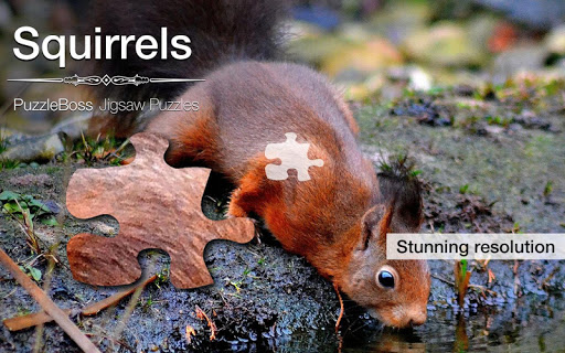 Squirrel Jigsaw Puzzles