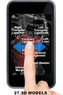 How to download Anatomy 3D: Organs lastet apk for pc