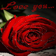 Love You Wallpaper APK