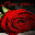 Love You Wallpaper Download on Windows