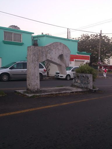 Hipocampo Veracruz 