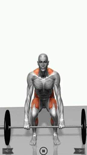 【免費健康App】Body Muscle Trainer&Building-APP點子