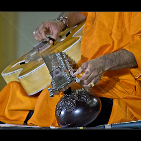 The Mohan Veena by Vincent Albert - Artistic Objects Musical Instruments