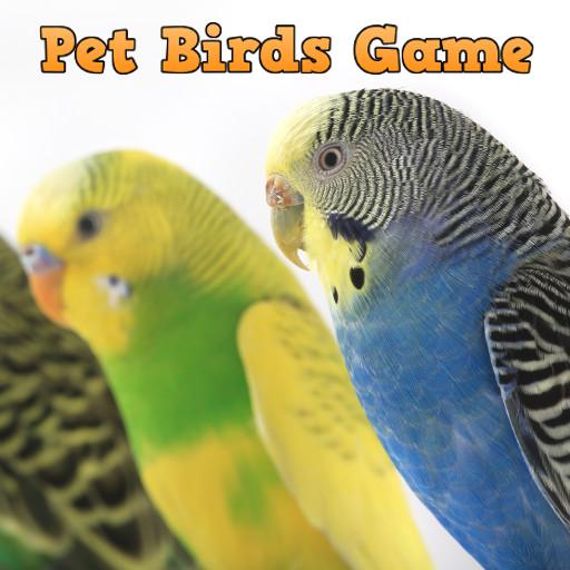 Pet Birds Game