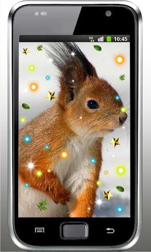 免費下載個人化APP|Squirrel Forest live wallpaper app開箱文|APP開箱王