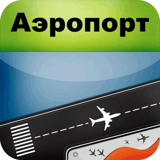 Moscow Domodedevo Airport -DME LOGO-APP點子