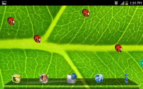 How to download Ladybugs Live Wallpaper lastet apk for pc