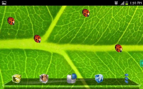 How to mod Ladybugs Live Wallpaper 1.0 mod apk for pc