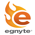 Egnyte Enterprise logo