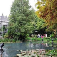 菁芳園 Tenway Garden／花園餐廳／落羽松