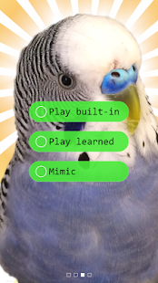 Free Parakeet Pal APK