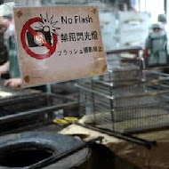 阜杭豆漿