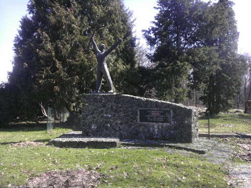 Spomenik Palim Borcima I Zrtvama
