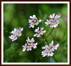 HD Photography India poster 11