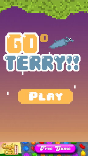 Go Terry