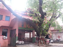Shakthi Temple  Behind Tree