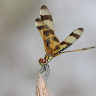 Halloween Pennant