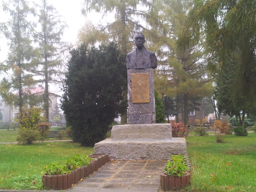 Pomnik Karola Brzostowskiego