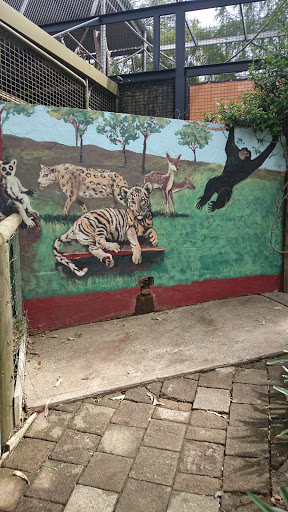 Mogo Zoo Mural 