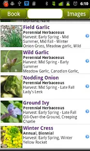 Wild Edibles - screenshot thumbnail