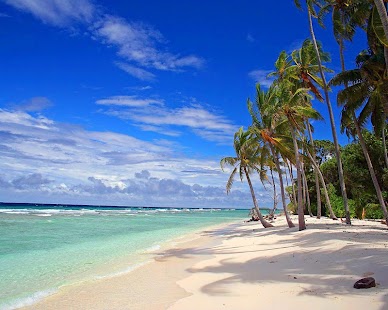 PARADISE WALLPAPERS Screenshots 14